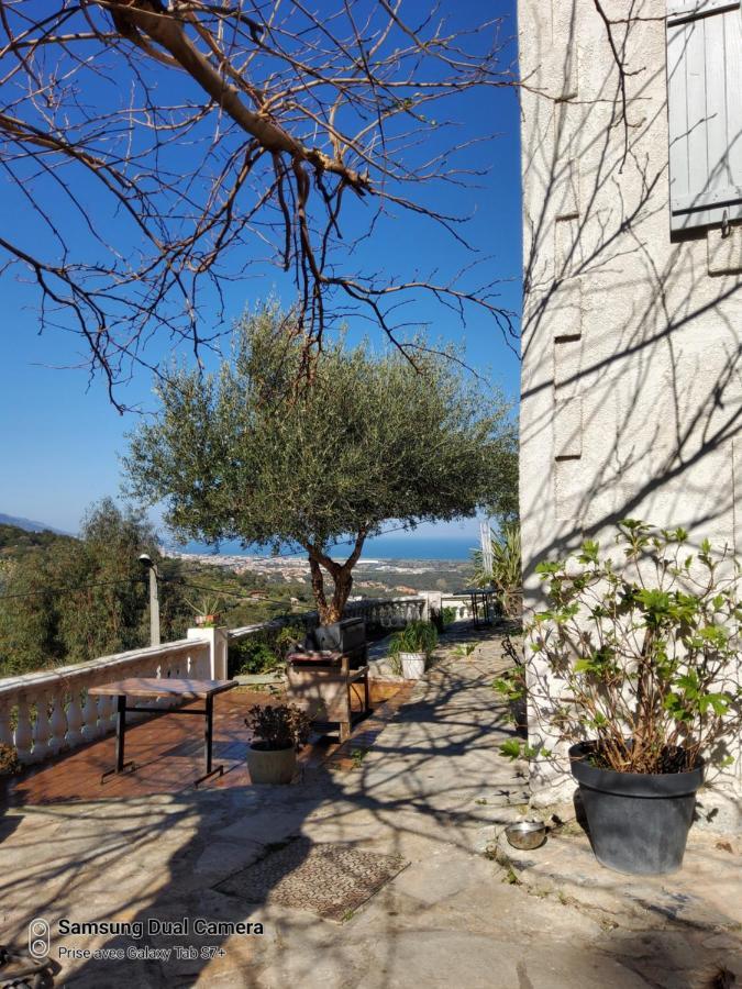 Maison Casa Nova بيغوليا المظهر الخارجي الصورة