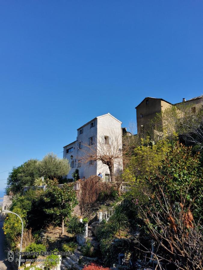Maison Casa Nova بيغوليا المظهر الخارجي الصورة